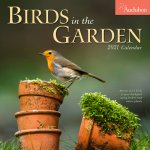 2021 Audubon Birds in the Garden Wall Calendar
