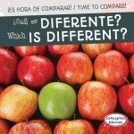 ?cuál Es Diferente? / Which Is Different?