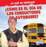 ?cómo Es El Día de Los Conductores de Autobuses? (What Do Bus Drivers Do All Day?)