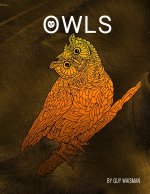 Owls