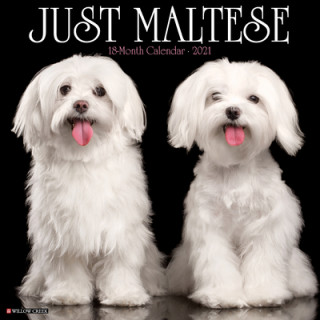 Just Maltese 2021 Wall Calendar (Dog Breed Calendar)