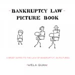 Bankruptcy Law Picture Book: A Brief Intro to the Law of Bankruptcy, in Pictures