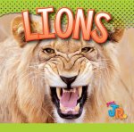 Lions