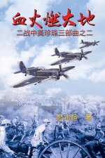 血火燃大地：二战中美珍珠三部曲之二: Blood Fire B