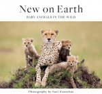 New on Earth