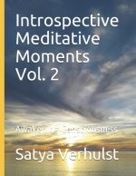Introspective Meditative Moments Vol. 2: Awakening Consciousness