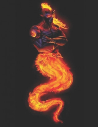 Fire Genie