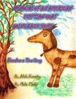 Memoirs of an American Egyptian Goat: Going Back Home