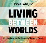 Living Between Worlds: Finding Personal Resilience in Changing Times