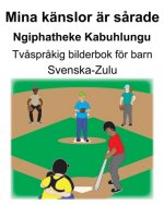 Svenska-Zulu Mina känslor är s?rade/ Ngiphatheke Kabuhlungu Tv?spr?kig bilderbok för barn