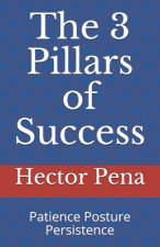 The 3 Pillars of Success: Patience Posture Persistence