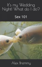 It's my Wedding Night! What do I do?: Sex 101