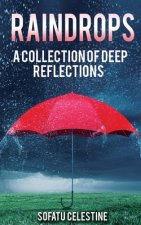 Raindrops! A Collection Of Deep Reflections