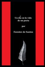 dia en la vida de un poeta