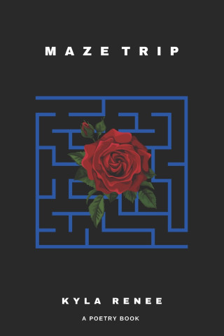 Maze trip