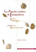 Les Planches Inédites de Foraminif?res d'Alcide D'