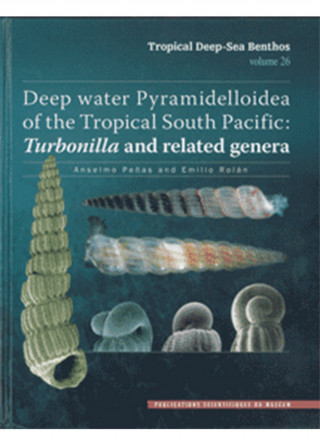 Deep Water Pyramidelloidea of the Tropical South Pacific: Turbonilla and Related Genera