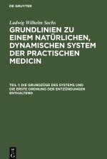 Grundzuge des Systems und die erste Ordnung der Entzundungen enthaltend