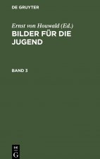 Mit 7 Kupfern U. 1 Musikbeilage: Aus: Bilder Für Die Jugend, Bd. 3