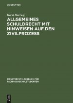 Allgemeines Schuldrecht Mit Hinweisen Auf Den Zivilprozess