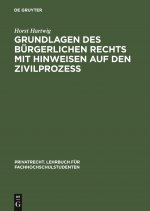 Grundlagen Des Burgerlichen Rechts Mit Hinweisen Auf Den Zivilprozess