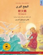 البجع البري - 野天鹅 - Yě tiān'é (عربي