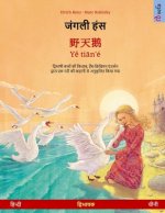 जंगली हंस - 野天鹅 - Yě tiān'é (हिन्दी