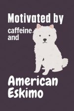Motivated by caffeine and American Eskimo: For American Eskimo Dog Fans