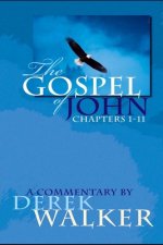 Gospel of John (Chapters 1-11)
