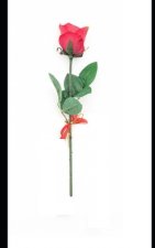 Rosa de Plástico: Johnny