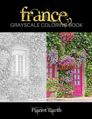France Grayscale Coloring Book