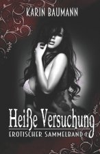 Heiße Versuchung: Erotischer Sammelband I