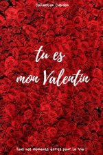 tu es mon Valentin: Carnet des Amoureux pour écrire tous Vos Plus Beaux Moments - 120 pages - Format 15,24 x 22,86 cm - Cadeau de Saint-Va
