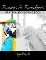 Parrots & Parakeets Grayscale Coloring Book: Adult Coloring Book with Beautiful Parrot Images.