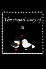 The stupid story of us