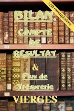 Bilan, Compte de Résultat & Flux de Trésorerie VIERGES: x50 exemplaires de chaque tableaux comptables pré-remplis pour apprendre la comptabilité facil