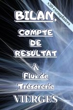 Bilan, Compte de Résultat & Flux de Trésorerie VIERGES: x50 exemplaires de chaque tableaux comptables pré-remplis pour apprendre la comptabilité facil