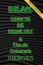 Bilan, Compte de Résultat & Flux de Trésorerie VIERGES: x50 exemplaires de chaque tableaux comptables pré-remplis pour apprendre la comptabilité facil