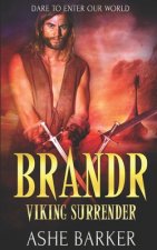 Brandr: A Viking Warrior Romance (including free copy, The Prologue)