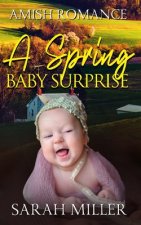 A Spring Baby Surprise: Amish Romance