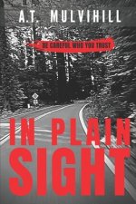 In Plain Sight