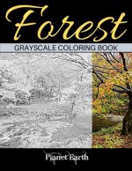 Forest Grayscale Coloring Book: Adult Coloring Book. Beautiful Images of the Forest.