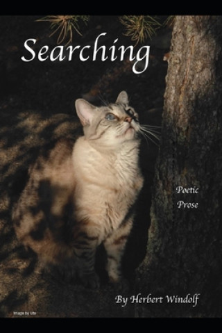 Searching