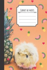 Carnet de note: Hamster, ananas, coeur et past?que