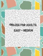 Mazes for adults: Easy - Medium level in large size book