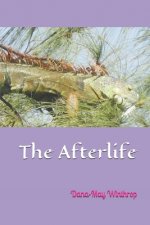 The Afterlife
