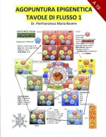 Agopuntura Epigenetica 1: Tavole di Flusso
