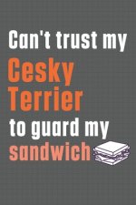 Can't trust my Cesky Terrier to guard my sandwich: For Cesky Terrier Dog Breed Fans