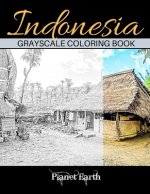 Indonesia Grayscale Coloring Book: Grayscale Coloring Book for Adults with Beautiful Images of Indonesia.