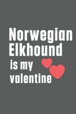 Norwegian Elkhound is my valentine: For Norwegian Elkhound Dog Fans